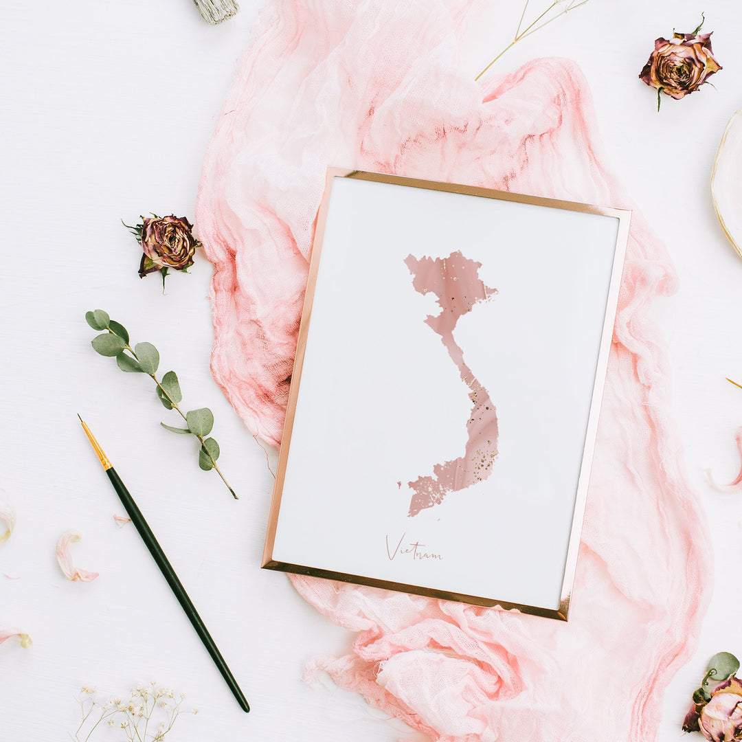 Vietnam Map Pink and Gold Wall Art Print